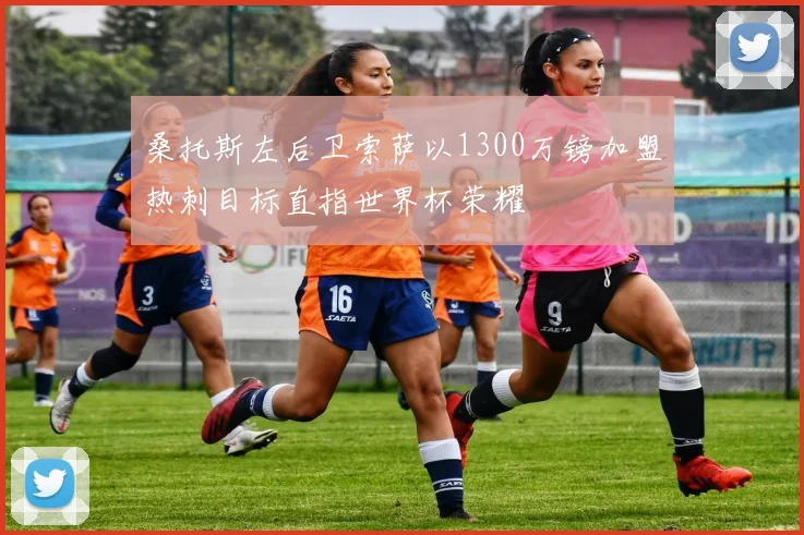 桑托斯左后卫索萨以1300万镑加盟热刺目标直指世界杯荣耀