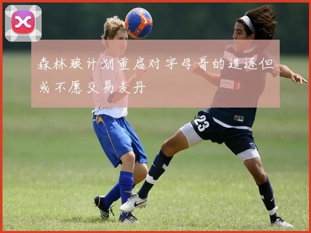 森林狼计划重启对字母哥的追逐但或不愿交易麦丹